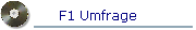F1 Umfrage