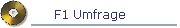 F1 Umfrage